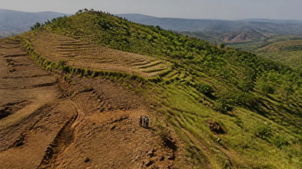 Land Restoration and Biochar Soil Application