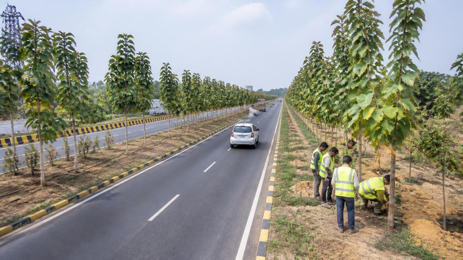 Highway plantation by Kaamdhenu Agrotrade