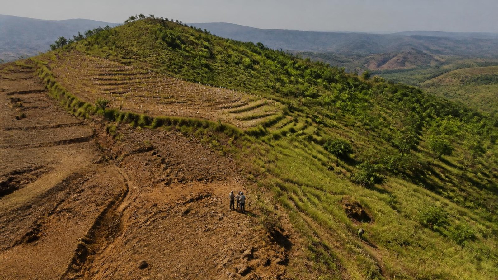 Land restoration project by Kaamdhenu Agrotrade